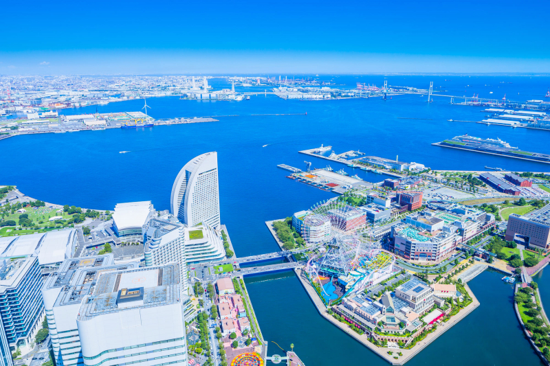 ホームページをリニューアルしました