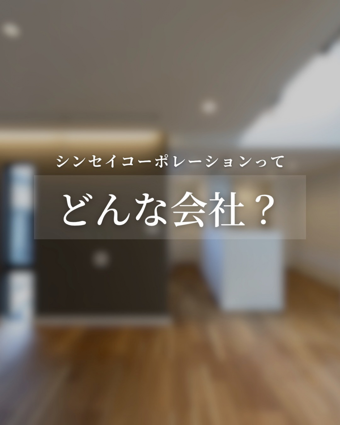 ~ シンセイコーポレーションってどんな会社？~